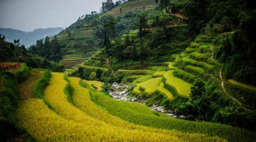 Hoang Su Phi -Meilleur trekking au vietnam