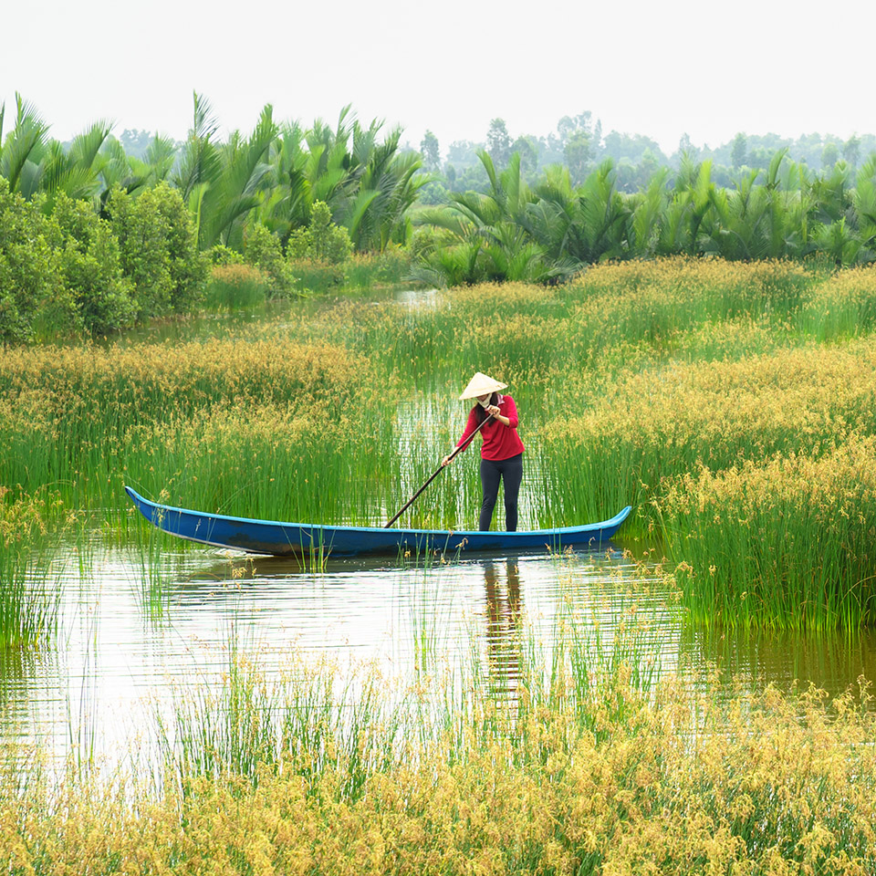 Vietnam